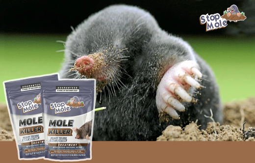 Can home remedies be used to get rid of moles ?