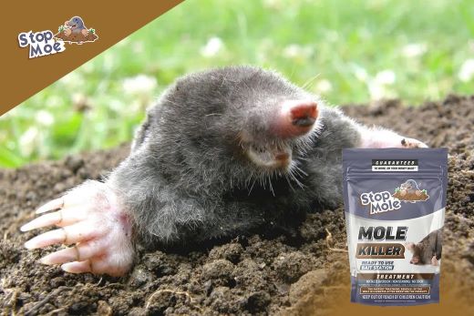 How to ensure garden protection against moles ?