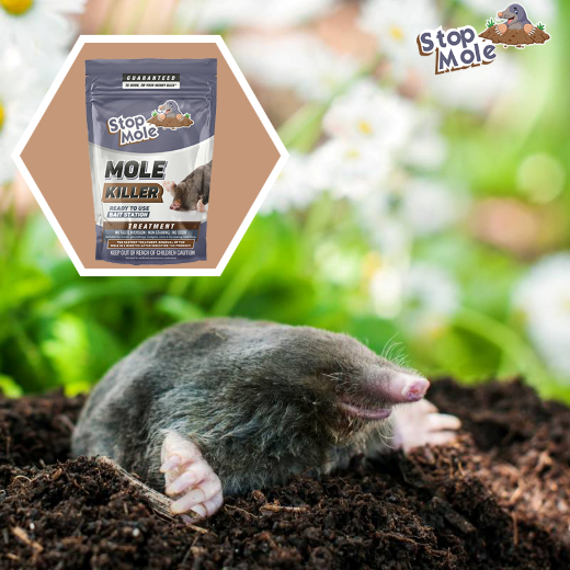 Do mole control products pose a danger to other pets and garden wildlife ?