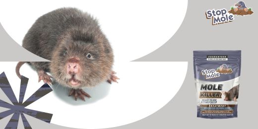What are the steps to follow to correctly apply the Stop Mole treatment in your garden ?