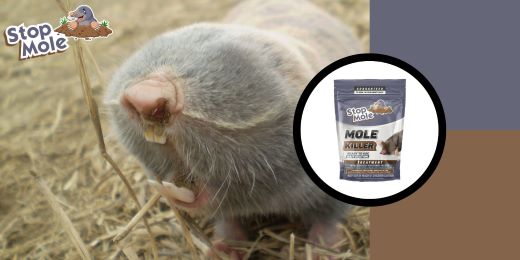 How to choose the best mole repellent ?