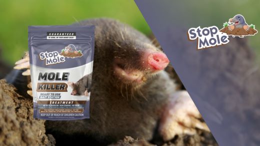 What benefits does the use of mole repellents offer in the garden ?